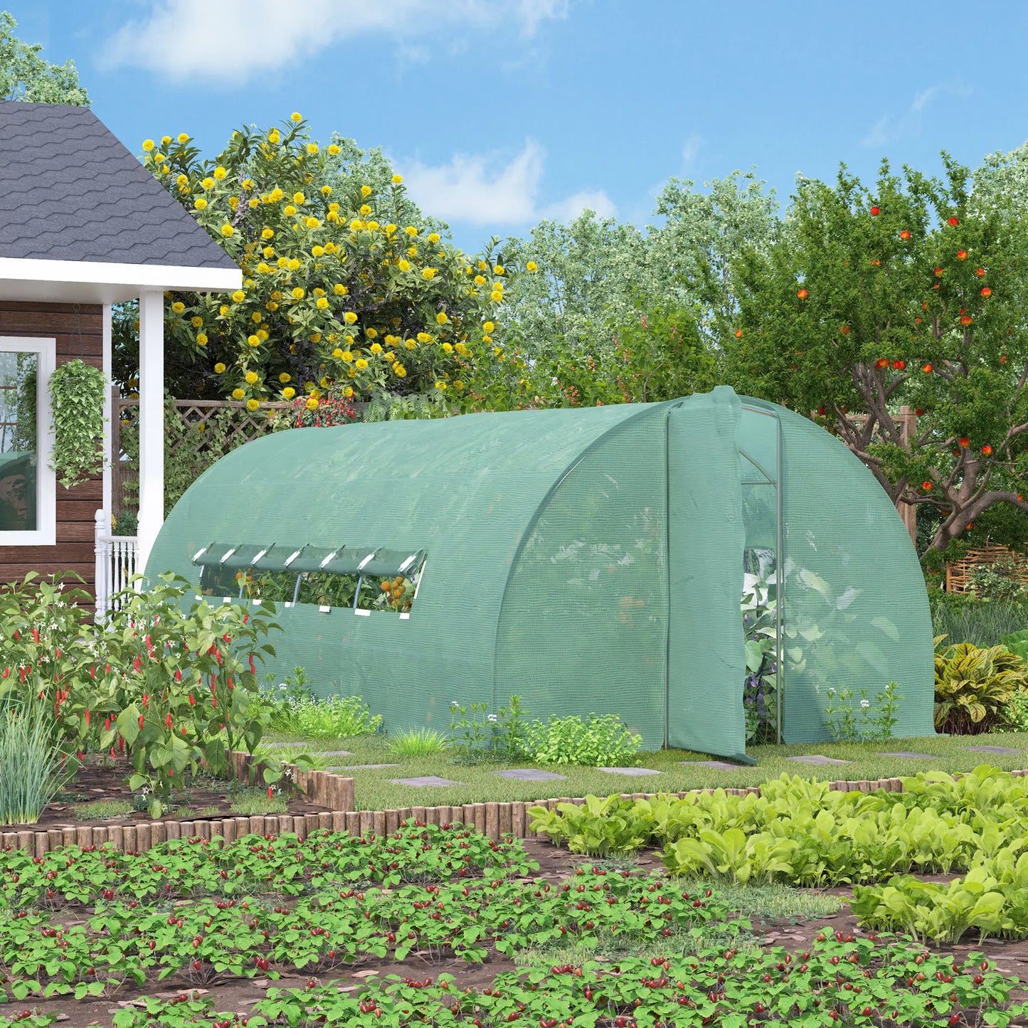 Reinforced Walk-In Polytunnel Greenhouse with Door and Mesh Windows 6 X 3(M)