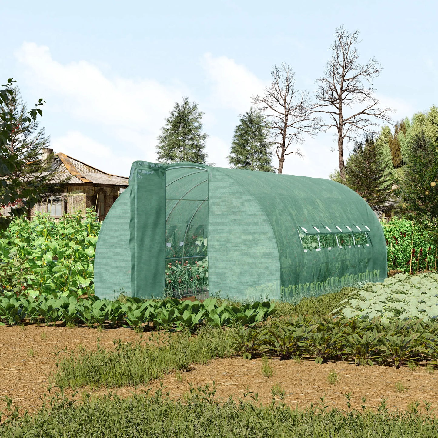 Reinforced Walk-In Polytunnel Greenhouse with Door and Mesh Windows 6 X 3(M)